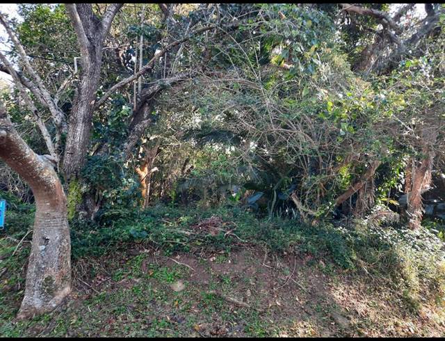 LAND FOR SALE IN PALM BEACH
